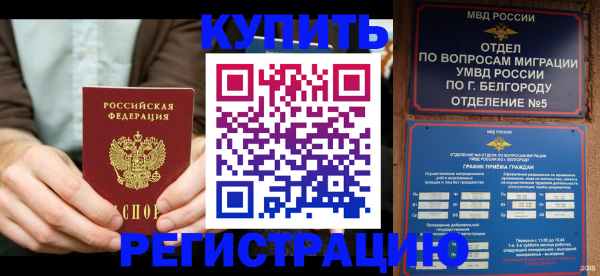 прописка 2025 в Подольске